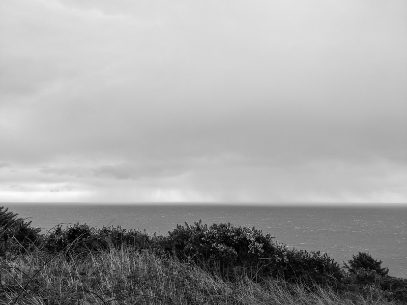 Looking out over the water from where I stood. The recording was taken directly behind. Cloudy sky, lots of water, and in the foreground gorse in flower.